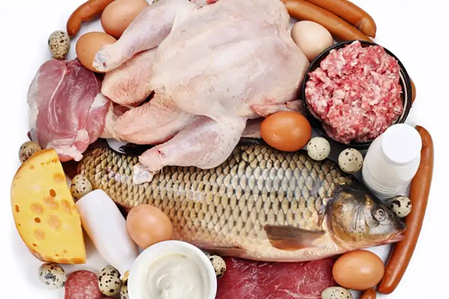 meat & fish